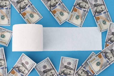Panik Covid-19 Coronavirus salgını konseptini satın alıyor. Tuvalet kağıdı rulosu ve mavi arka planda Amerikan doları banknotları. 