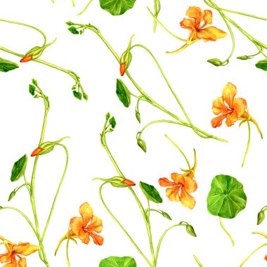 Sulu Boya çizim çiçek ile Seamless Modeli