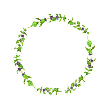 Sulu Boya çizim bitkiler nane ile yuvarlak çerçeve