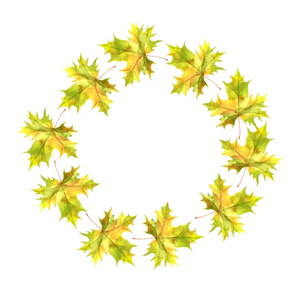カエデの葉を持つ丸いフレーム — ストック写真