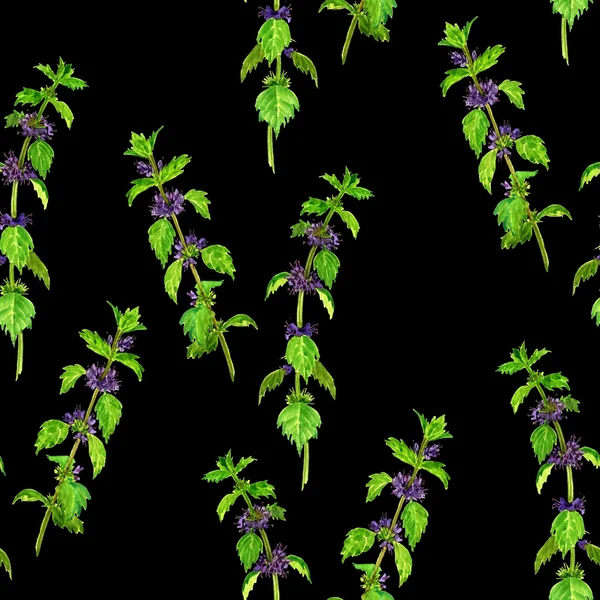 Vzor bezešvé akvarel výkresu rostlinami máty — Stock fotografie