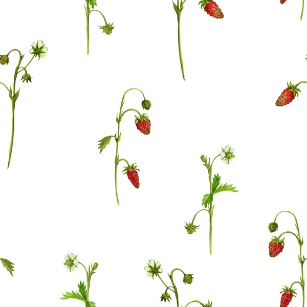 无缝模式与水彩绘图植物的草莓 — 图库照片