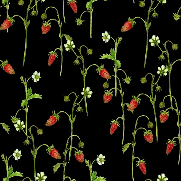 Motif sans couture avec des plantes de dessin à l'aquarelle de fraise — Photo