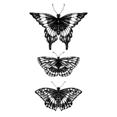 Kelebek çizilmiş set el