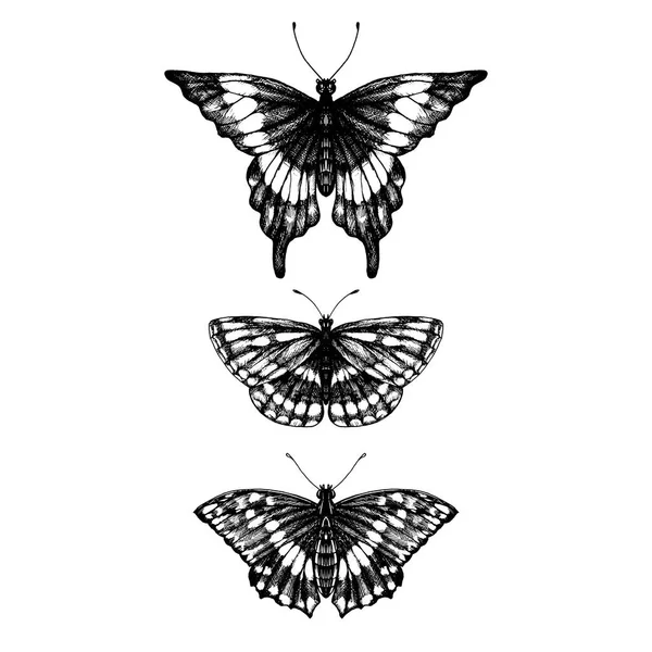 Conjunto dibujado a mano de mariposas — Vector de stock