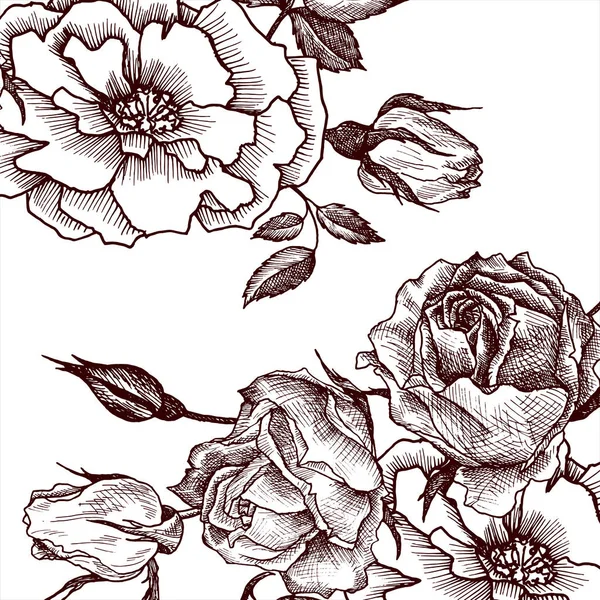 Modèle floral vectoriel vintage — Image vectorielle