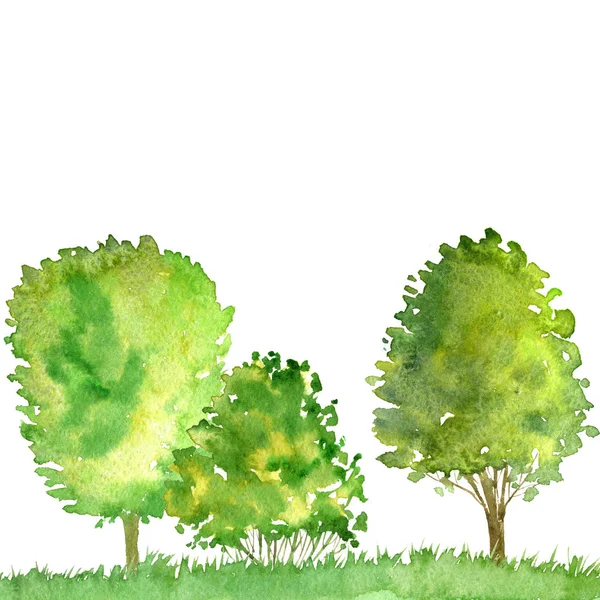 Paesaggio acquerello con alberi — Foto Stock