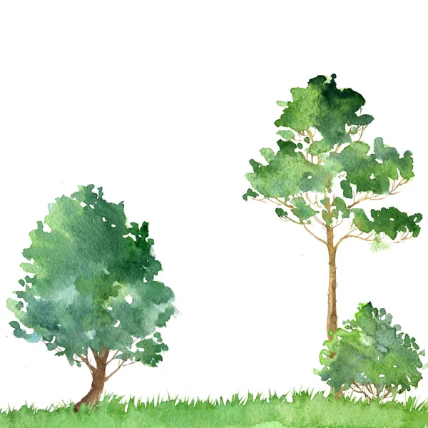 Aquarel landschap met bomen — Stockfoto