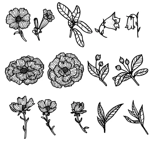 Vintage vector floral conjunto — Archivo Imágenes Vectoriales