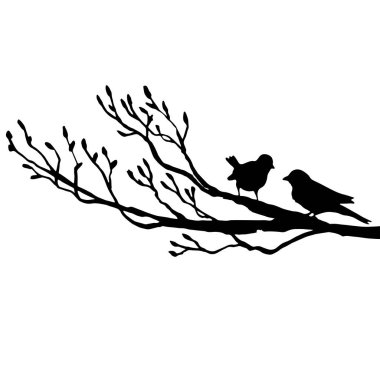 ağaç siluetleri kuşlara