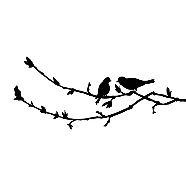 Aves em silhuetas de árvore — Vetor de Stock