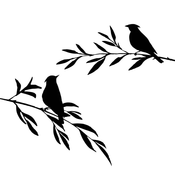 Pájaros en las siluetas de los árboles — Vector de stock