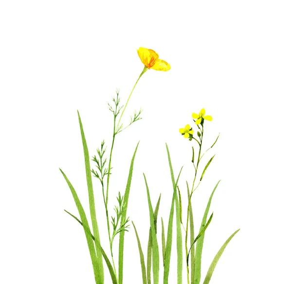 Akvarel, kresba zelenou trávu a květiny — Stock fotografie