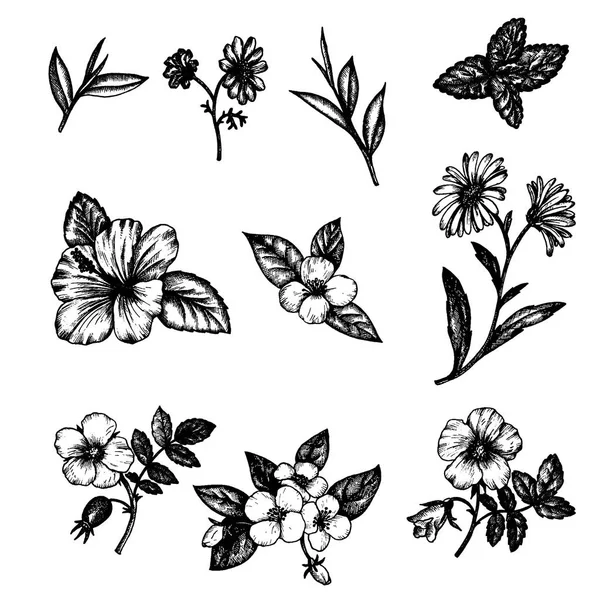 Vector flores vintage — Archivo Imágenes Vectoriales