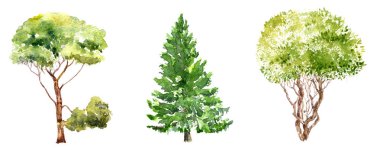 suluboya tarafından çizim ağaçlar set