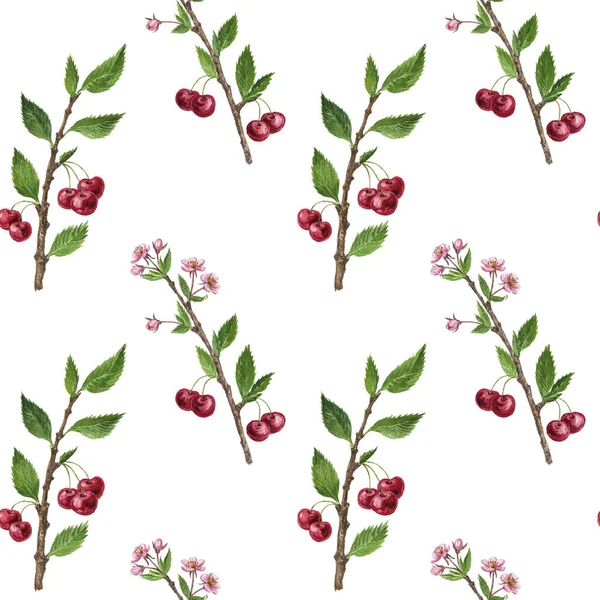 Nahtloses Muster mit Kirschbaumzweig mit Blüten, Blättern und Beeren — Stockfoto