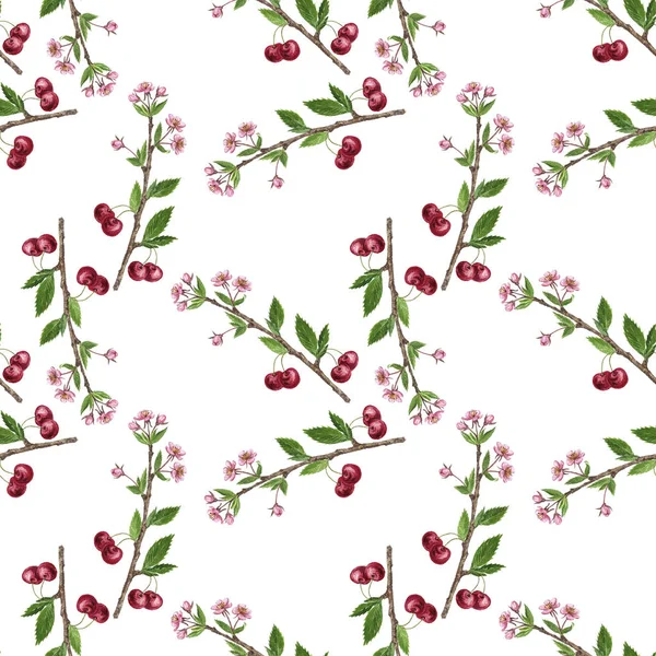 Nahtloses Muster mit Kirschzweig, Blüten, Blättern und Beeren — Stockfoto