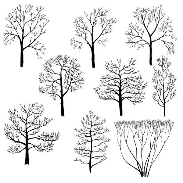 Ensemble d'arbres d'hiver — Image vectorielle