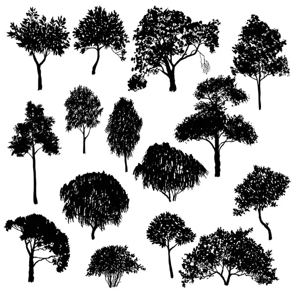 Vector set of deciduous trees — Stock Vector