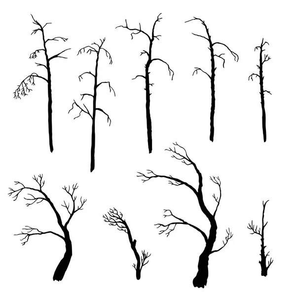 Set of winter trees — Stock Vector