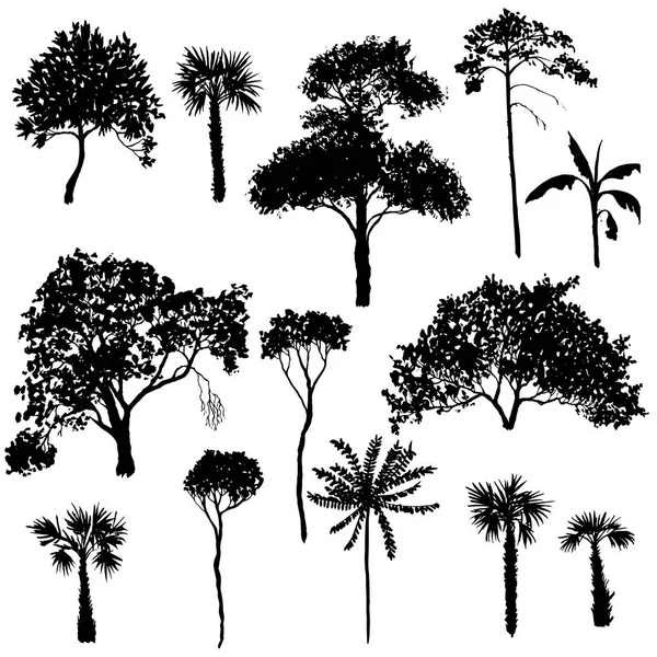 Ensemble vectoriel d'arbres à feuilles caduques — Image vectorielle