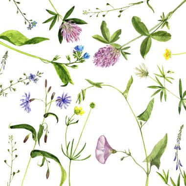 Bitkiler çizim suluboya