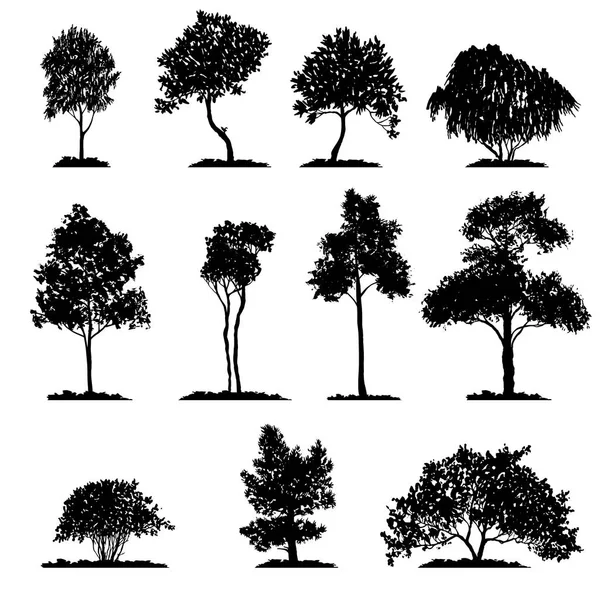 Vector set of deciduous trees — Stock Vector