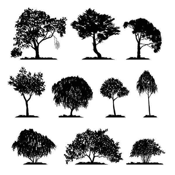 Vector conjunto de árboles de hoja caduca — Vector de stock