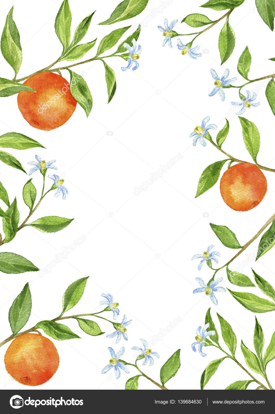 Orange tree clipart, tree element, tree drawing 35087839 PNG