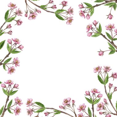 çerçeve ile kiraz ağacı dal, çiçek, çiçek yaprakları ve tomurcukları