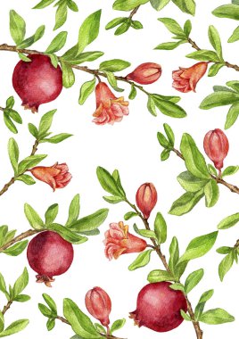 meyve ağaç dalları, yaprak, çiçek ve nar ile şablonu