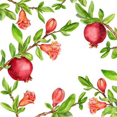 meyve ağaç dalları, yaprak, çiçek ve nar ile şablonu