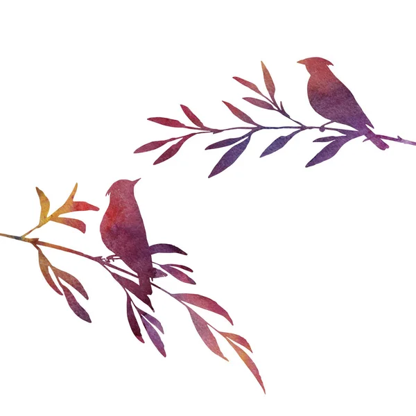 Vogels in de boom silhouetten — Stockfoto