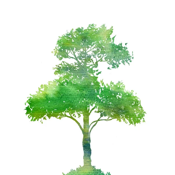 Silhouet van groene boom met bladeren — Stockfoto