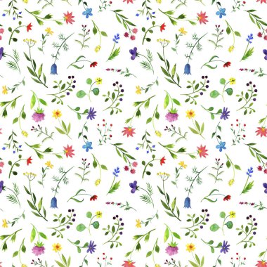 suluboya doodle bitki ve çiçekler ile Seamless Modeli