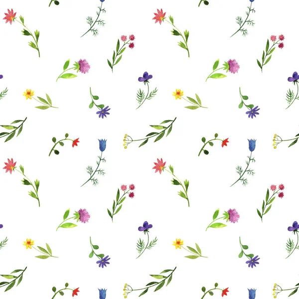 Wzór z akwarela doodle rośliny i kwiaty — Zdjęcie stockowe