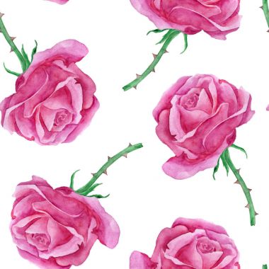 sulu boya pembe Gül ile Seamless Modeli