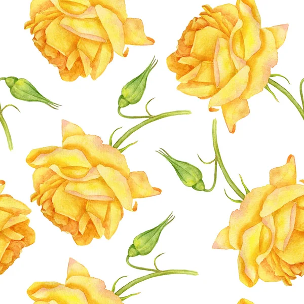 Seamless pattern with watercolor yellow roses — Stock Photo, Image