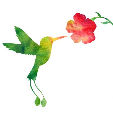 sinek kuşlarının ve çiçekler siluetleri