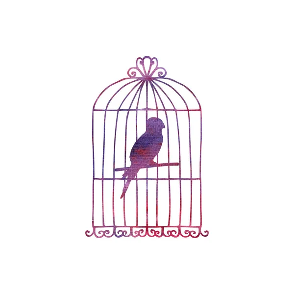 Perroquet dans une cage — Photo