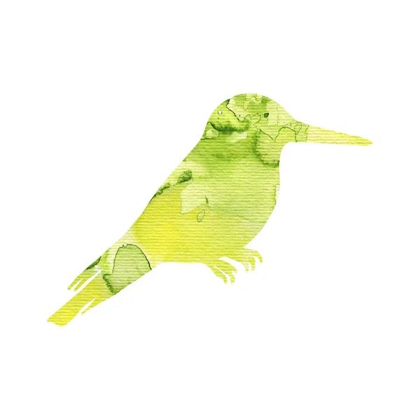 Акварельный силуэт колибри — стоковое фото