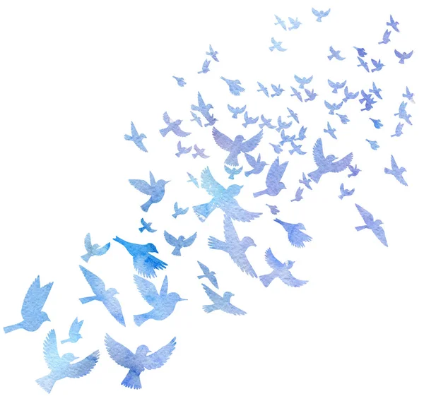 Akvarelu létající siluety ptáků — Stock fotografie