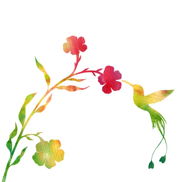 Hummingbirds and flowers silhouettes — Stock Photo, Image