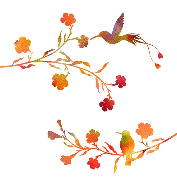 Hummingbirds and flowers silhouettes — Stock Photo, Image