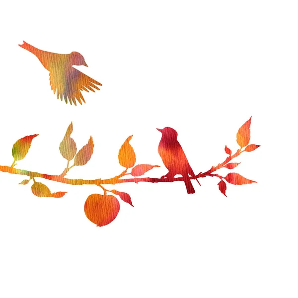 Akvarelu ptáci na stromě siluety — Stock fotografie