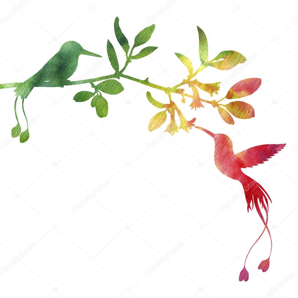 hummingbirds and flowers silhouettes