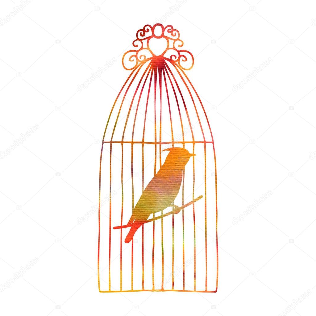 Waxwing in a cage