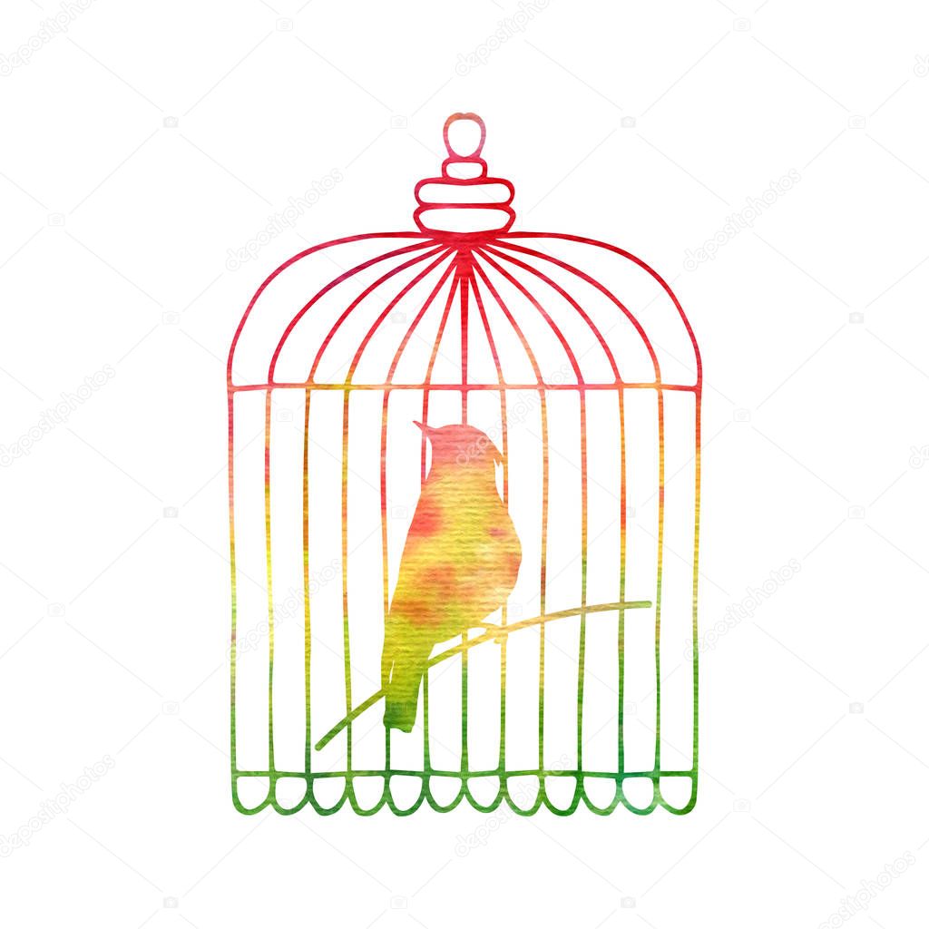 Goldfinch in a cage