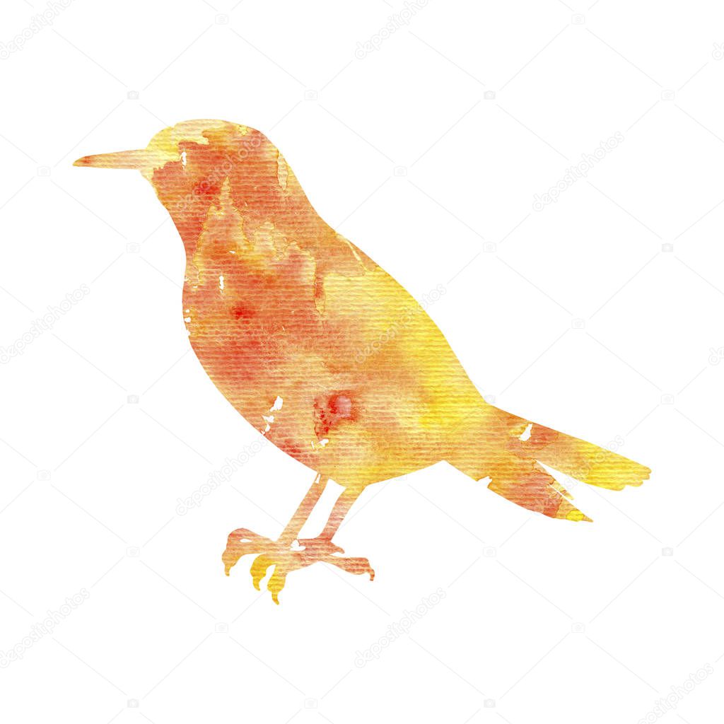 watercolor bird silhouette