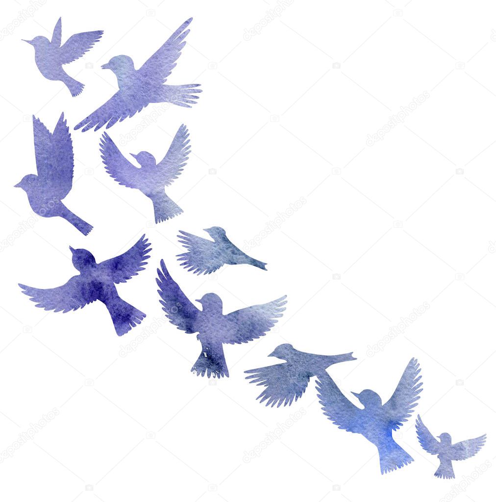 watercolor flying birds silhouettes
